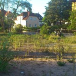 "Grundpfeiler" des Hauses