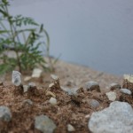 Die Macht des Wassers